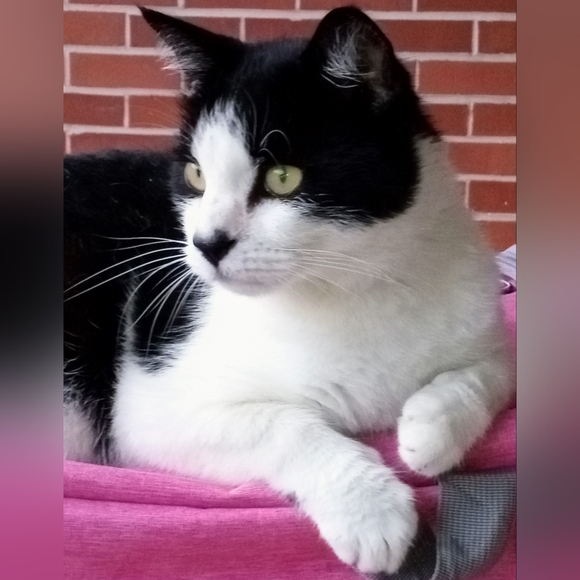 Meet your Posher, Michelle - Picture 11 of 14